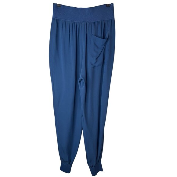 Theory Small 100% Silk Harem Jogger Pants Brilliant Blue Pockets Elastic Waist - Picture 5 of 16
